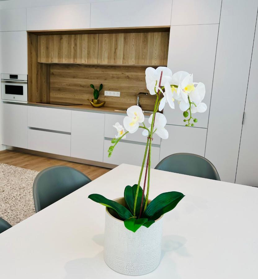 Best Loft Near Real Madrid Stadium Экстерьер фото